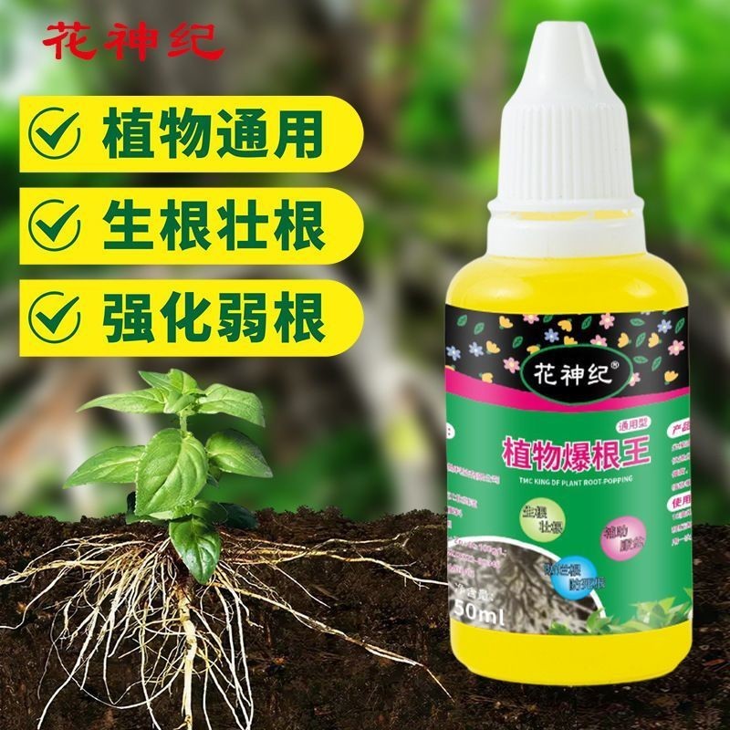 Cây Burst Root King Fast Root Liquid Chất lỏng Cây giống mạnh Chất mọng nước Kiểm soát đa năng Phát 