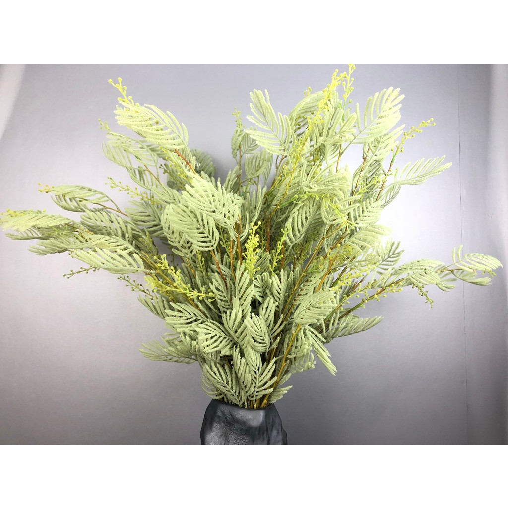 Mô Phỏng Luochen Mimosa Mimosa Shyme Hoa Lụa Giả Mô Phỏng Cây Xanh Mẫu Cưới Trang Trí Nhà Mềm Trang 