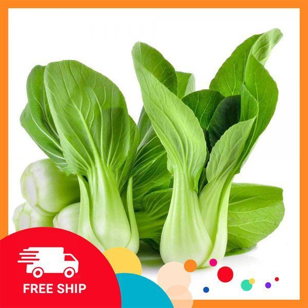 1kg Cải Thìa [chỉ Giao Được Khu Vực Miền Bắc]. cải thìa đảo tỏi rất ngon và đưa cơm.