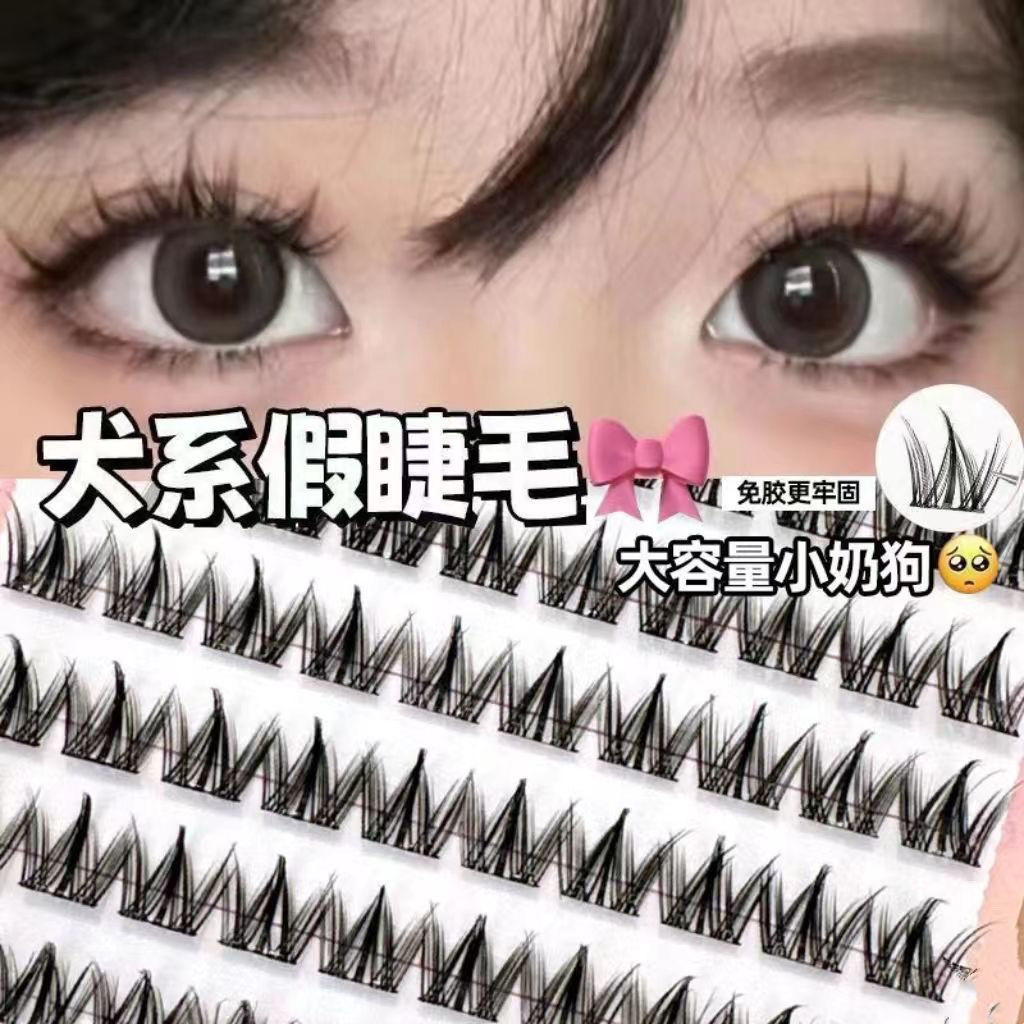 Thạch Keo Siêu Mềm Lười Người Mới Truyện Tranh Con Chó Con Siêu Nhiên 100 Cụm Lông Mi Không Keo Lông