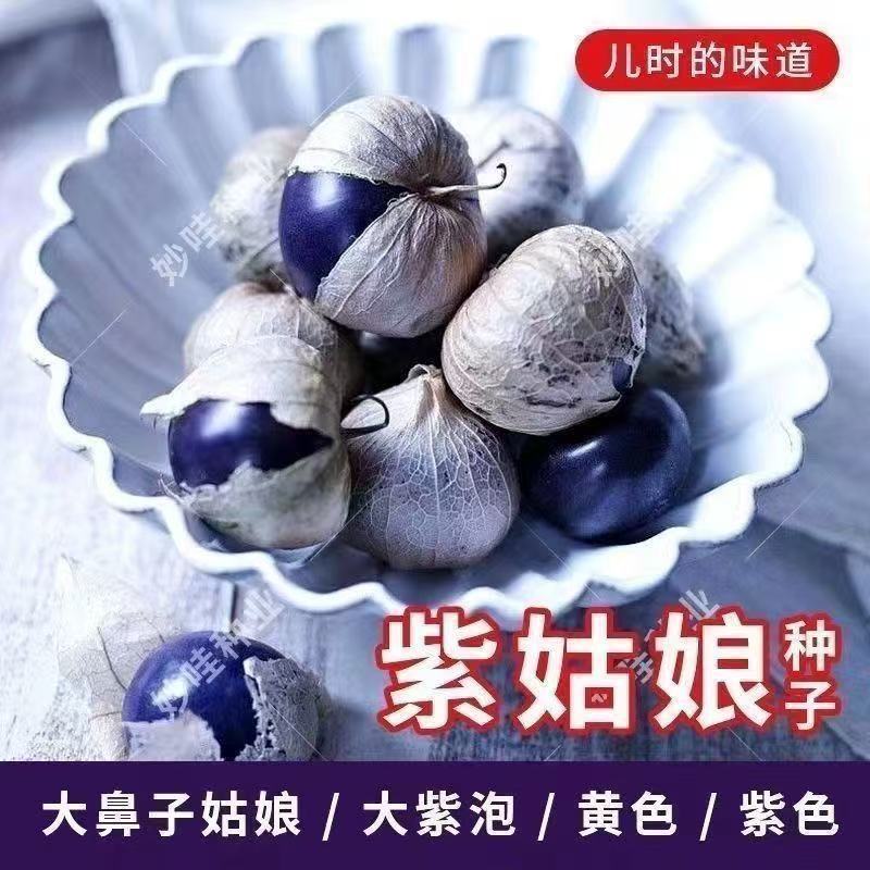 Hàng sẵn có Vận chuyển nhanh ins Northeast Big Purple Girl Seed Big Nose Girl Seed Purple Girl Fruit
