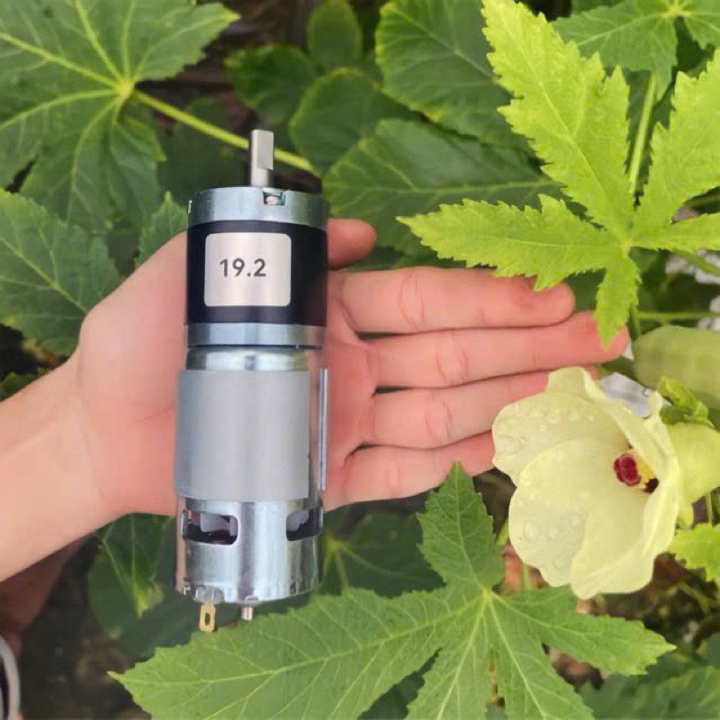 Động Cơ Motor Giảm Tốc 775 12v/24v giảm tốc Planetary (hành tinh) GX775 Công Suất Cao