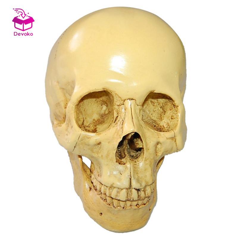 Devoko Design Resin Human Skull 1: 1 Bản sao thực tế Mô hình đầu bộ xương