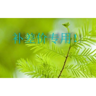 Make up the difference Make up phí vận chuyển, make up the difference.Giveaway 1 Yuan.Screws Ngẫu nh