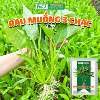 Hạt Giống rau muống 3 chạc (10gr) Trồng Quanh Năm Phát Triển Nhanh