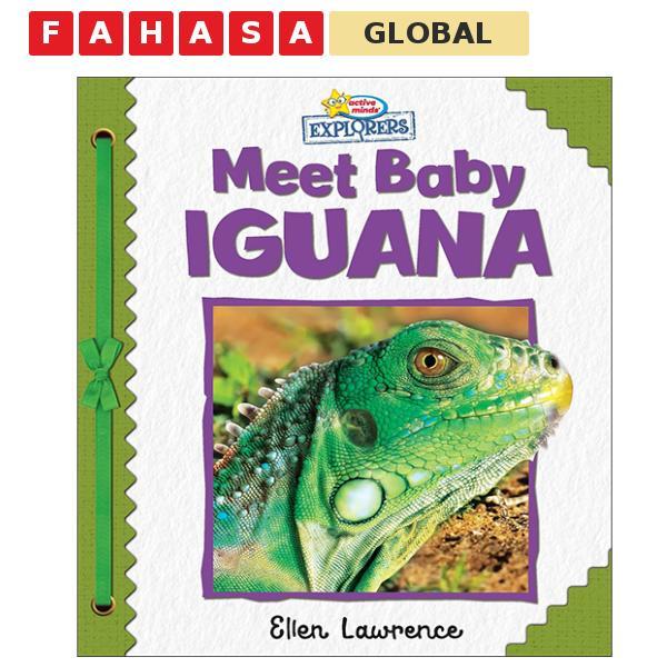 Sách ngoại văn: Active Minds Explorers - Meet Baby Iguana