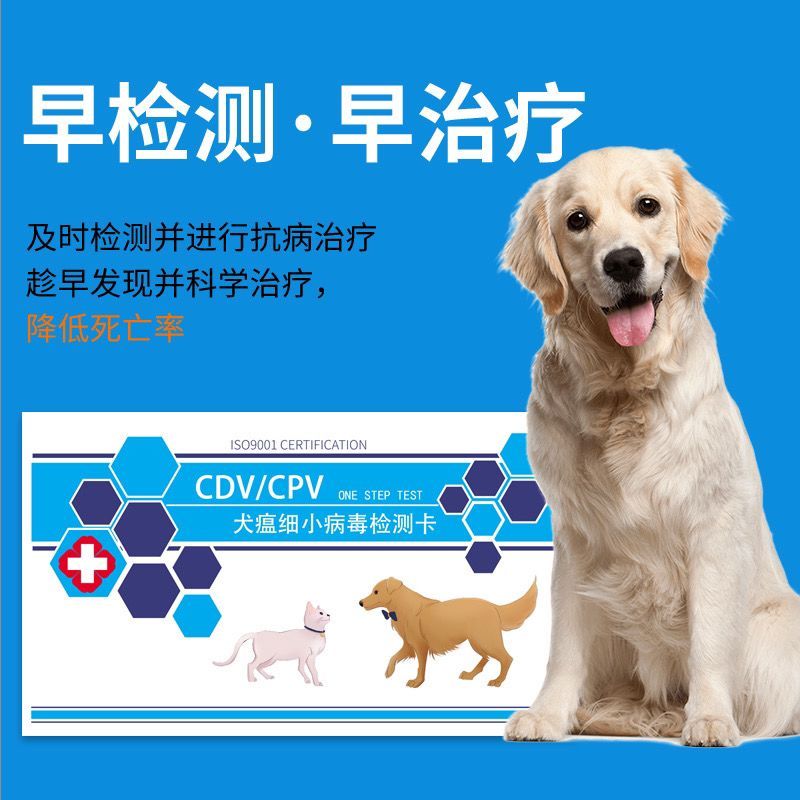 Hot cpv Giấy Kiểm Tra Fine Puppy Fine Puppy Dog Set Thẻ Puppy Test 4.3 Pet cdv