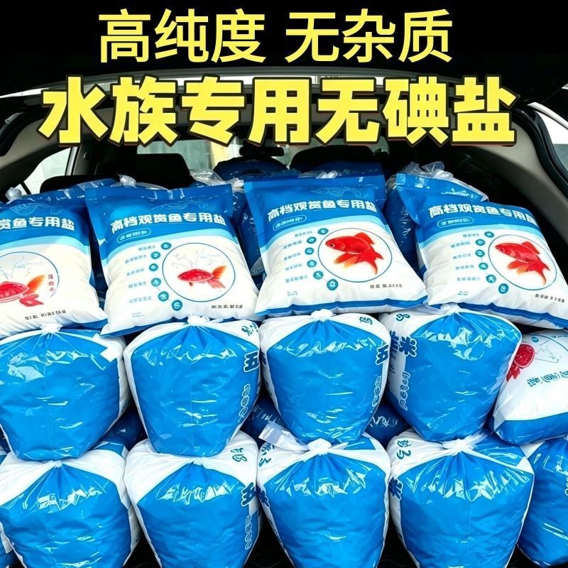 Bắn Một Bắn Sáu Bể Cá Muối Chuyên Dụng Bể Cá Trang Trí Cá Muối Chuyên Dụng Bể Cá Cá Nuôi Muối Hạt Lọ