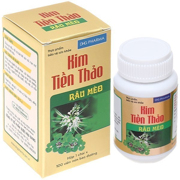 Viên uống Kim Tiền Thảo Râu Mèo DHG Pharma (100 viên)