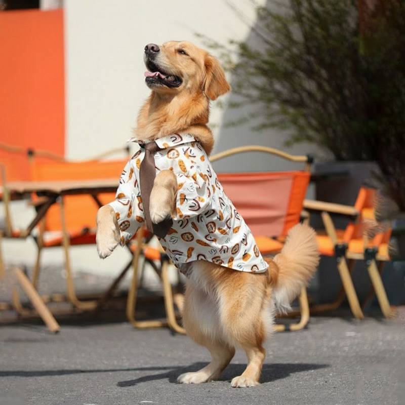 【Ready Stock】 Dog Floral Shirt Summer Thin Golden Retriever Labrador Sun Protection Border Collie Ai