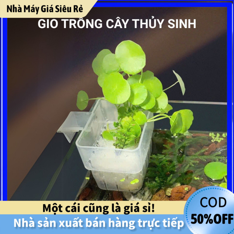 【24H】Giỏ Trồng Cây Thủy Sinh Nhựa Acrylic Treo Thành - Dụng Cụ Hỗ Trợ Trồng Cây Trang Trí Hồ Cá