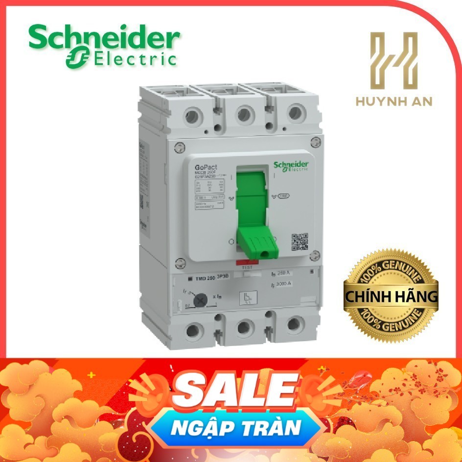 Cầu dao dạng khối MCCB GoPact 250F 3P 250A 36kA chỉnh định 0.7-1xIn - Schneider Electric - G25F3A250