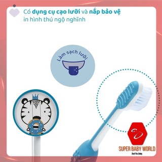 Bàn Chải đánh Răng Chicco Dành Cho Bé 6-36m 3-6y Shop Sbw