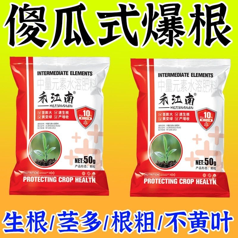 Burst Root King Gentleman Orchid Burst Root Strong Anti-Rotten Root Rễ rỗng Thúc đẩy rễ Cây giống mạ