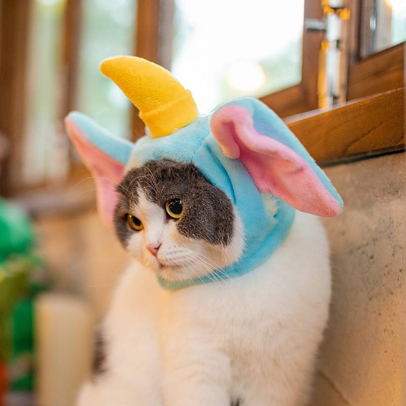 Cat Headgear Puppy Dog Hat Small Dog Teddy Bichon Pet Cute Funny Costume F3vy