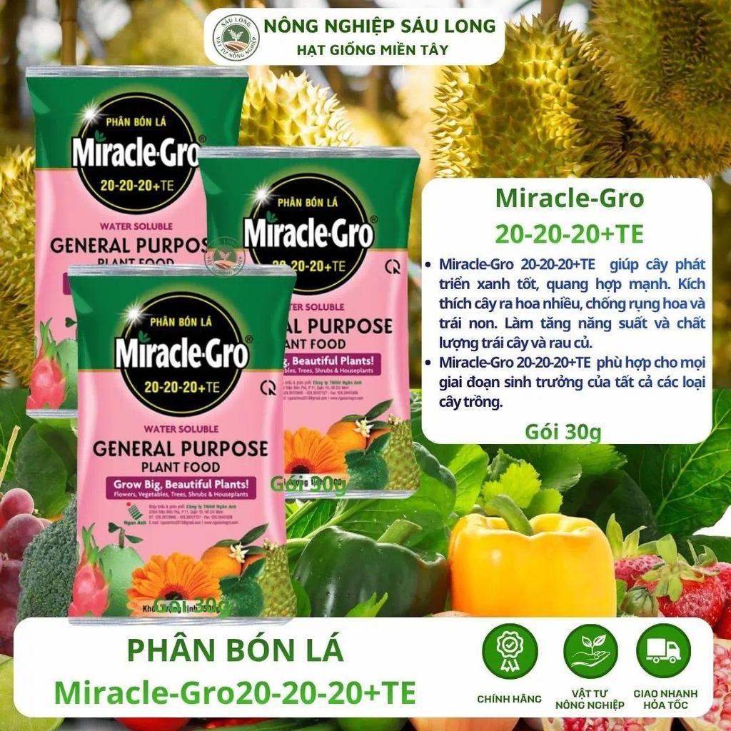 PHÂN BÓN LÁ Miracle-Gro 20-20-20+TE gói 30gr