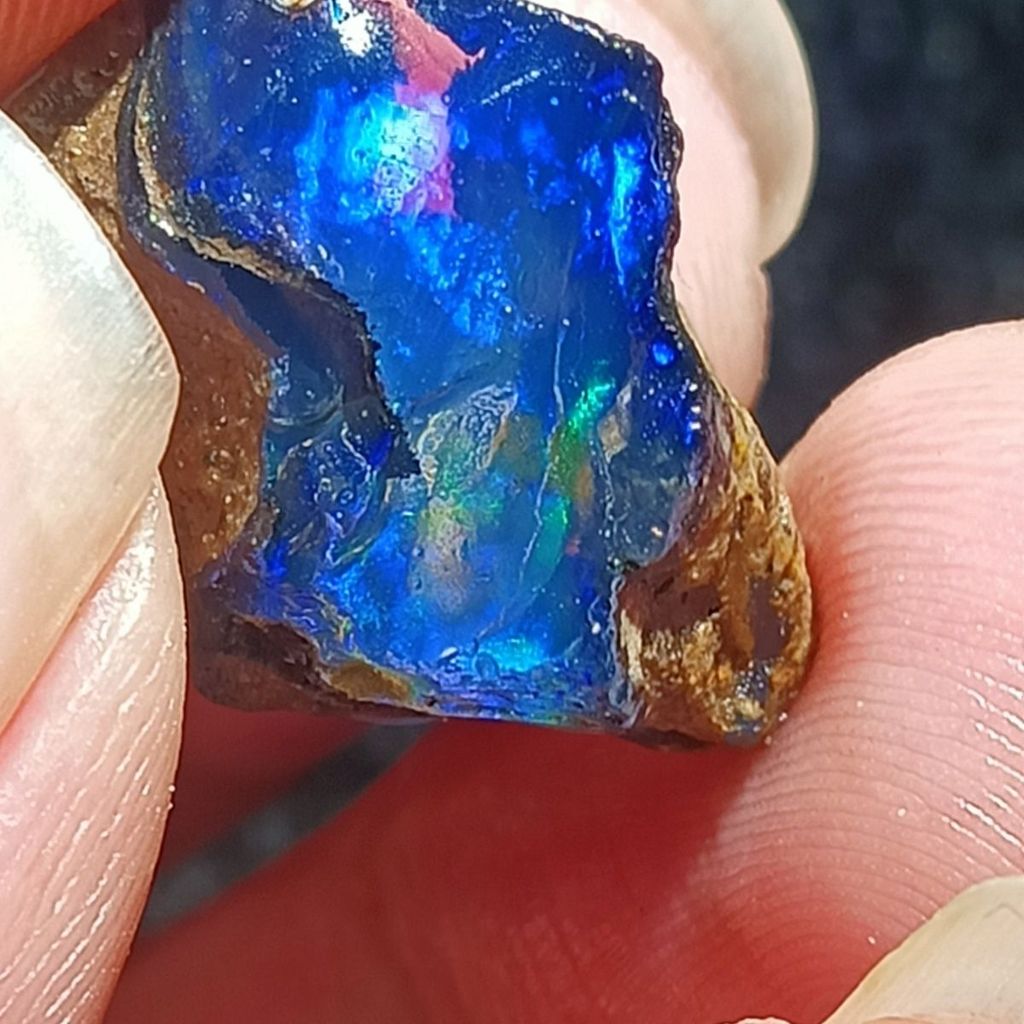Opal Opal tự nhiên Opal Úc Kho báu đầy màu sắc / Pha lê khoáng chất / Quặng cơ thể / Mẫu giảng dạy k