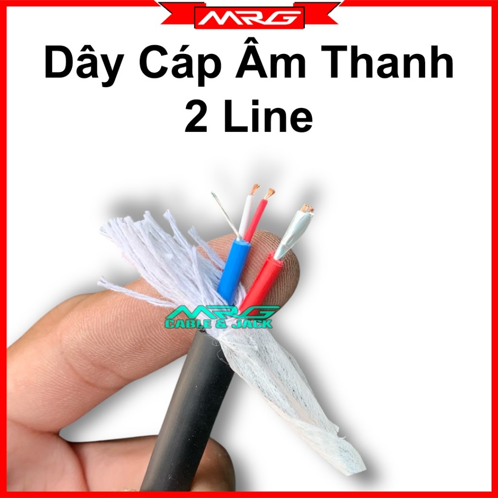 Dây Cáp Line 2 Lõi 2 Line, giá 1met, dây 2 kênh làm dây canon 6 ly dây cáp line âm thanh.