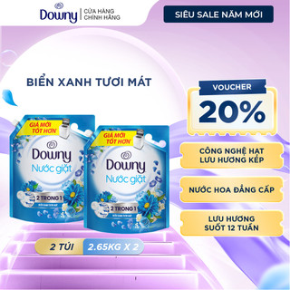  Combo 2 Nước Giặt DOWNY Biển Xanh Tươi Mát Túi 2.65KG 