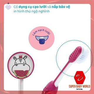 Bàn Chải đánh Răng Chicco Dành Cho Bé 6-36m 3-6y Shop Sbw