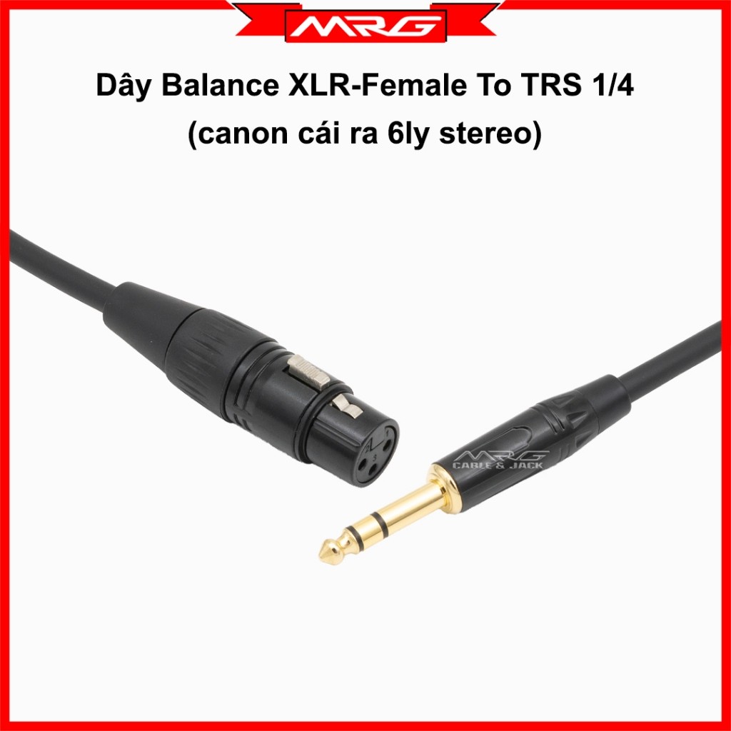 Dây Âm Thanh Cân Bằng Canon Cái Ra 6 Ly Stereo dài 5m-8m-10m-15m, giá 1 dây (XLR-female to TRS 1/4in