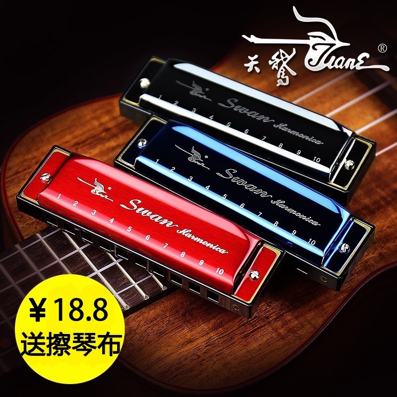 Blues Harmonica mới bắt đầu nhập harmonica 10 lỗ Bruce Harmonica Novice Giới thiệu Harmonica 10 lỗ c