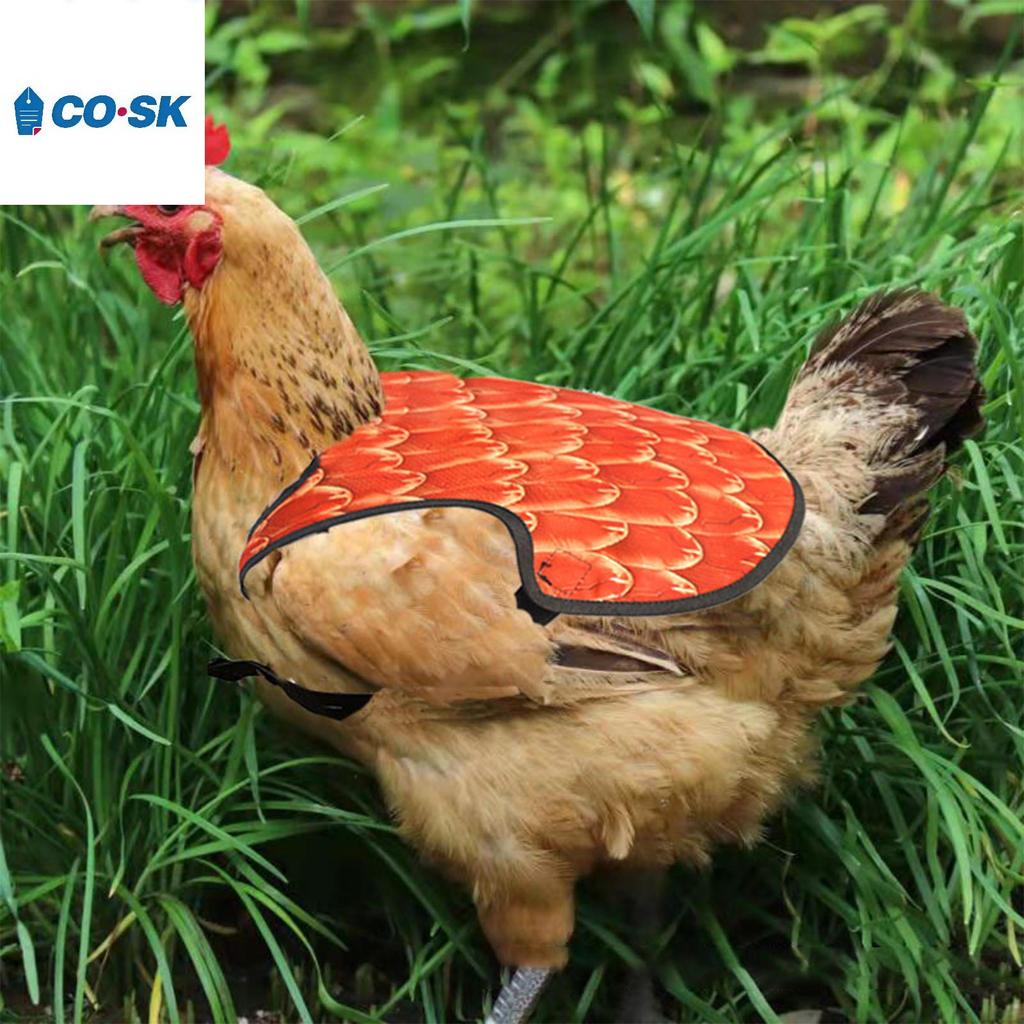 COUTR Yên Gà Cho Gà Mái, Tạp Dề Gà Bảo Vệ Lưng Cho Gà Mái Có Dây Đeo Có Thể Điều Chỉnh, Gà Gà Gà Hú 