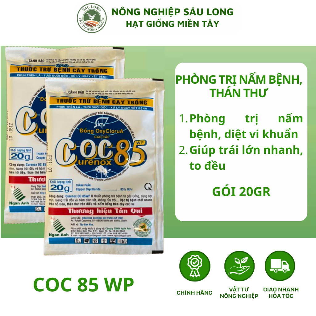 Coc 85 gốc Đồng thán thư