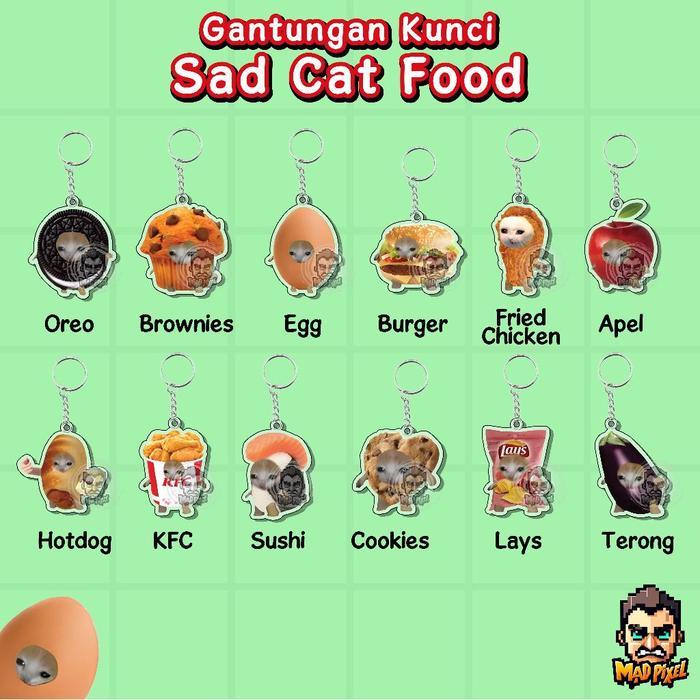 Gantungan Kunci Meme Sad Cat Kucing Akrilik / Acrylic KeyChain Lucu Cat Meme - 1 Sisi, Oreo