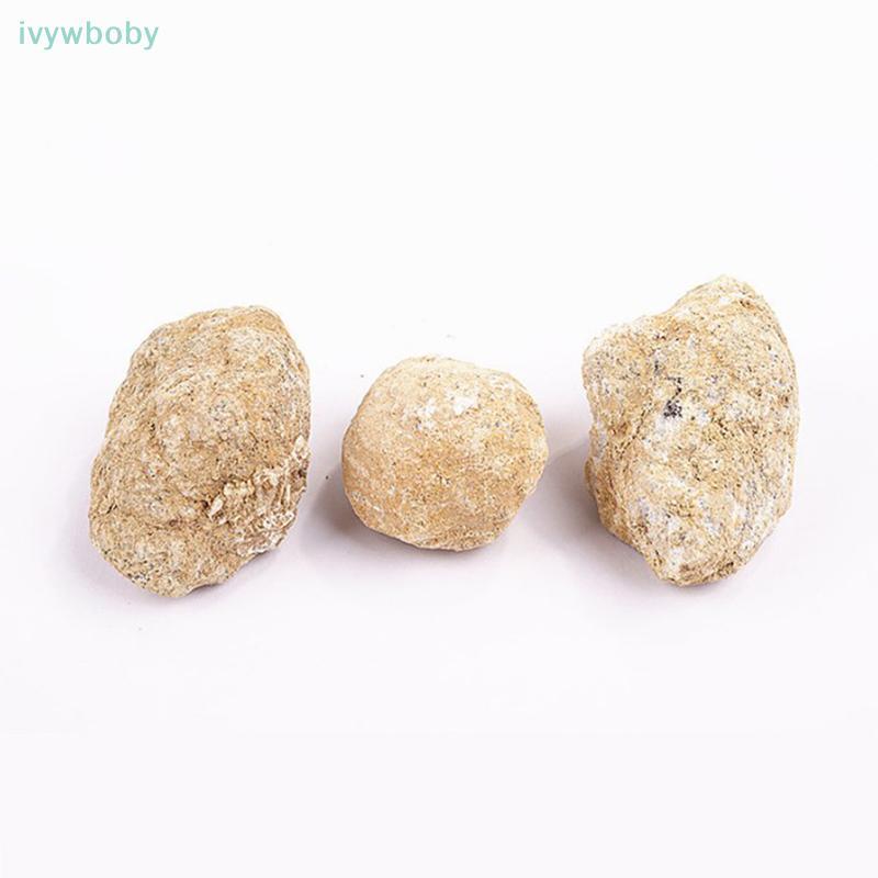 [IVY] Geode Agate Pha lê thô Pha lê khoáng tự nhiên Khoang đá trắng không đều TỐT