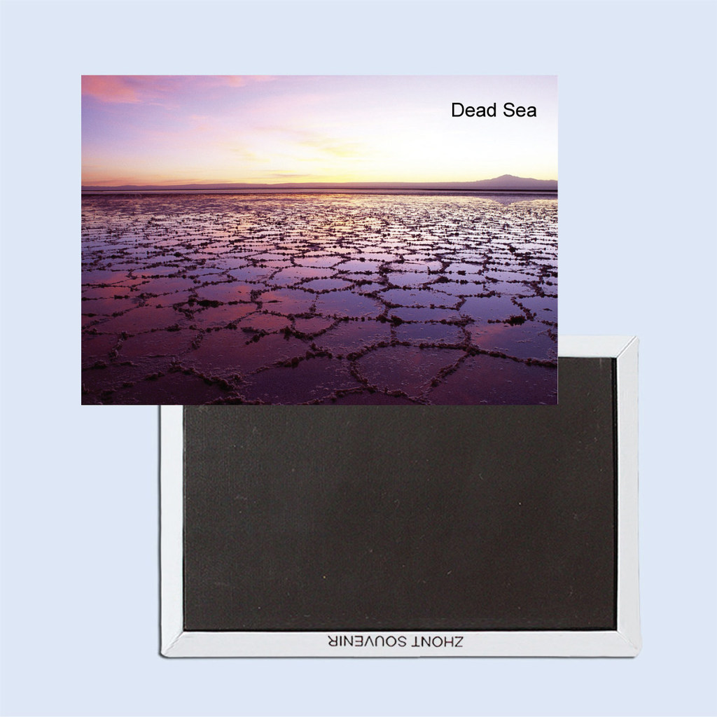 decal dán tủ lạnh Phim hoạt hình Palestine Biển Chết Dòng phong cảnh độc đáo 6/6 Sản phẩm gia dụng N