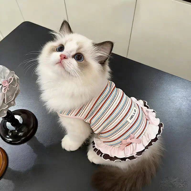 【Ready Stock】 Bow for Cats and Dogs Fresh Girl Sense Spring and Autumn Clothing Thin Ins Style Pet S
