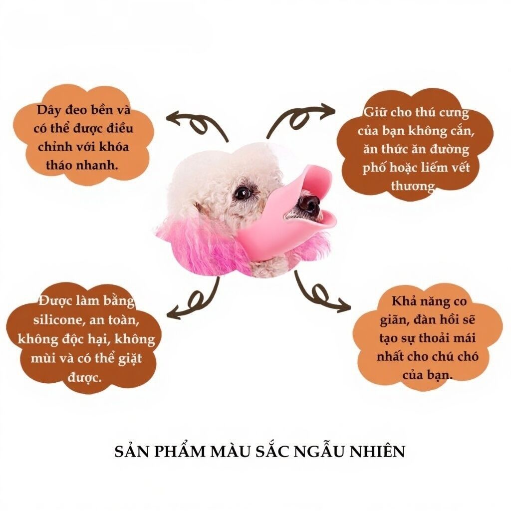 Mõm chó mèo - mõm mỏ vịt - lutpet