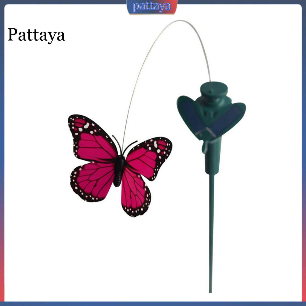 {pattaya} Trang trí trang trí trang trí sân vườn bằng năng lượng mặt trời