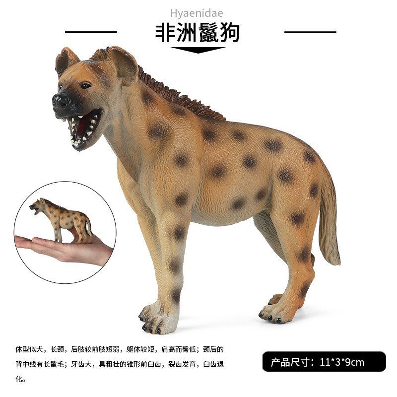 Trẻ Em Chắc Chắn Mô Phỏng Động Vật Hoang Dã Châu Phi Iguana Mô Hình Hound Chó Coyote Đồ Trang Trí Nh