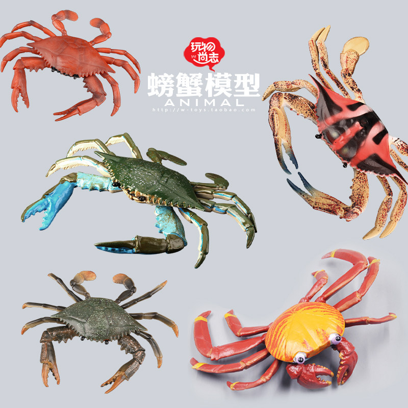 Đồ Chơi Shangzhi Cua Mô Hình Động Vật Biển Đồ Chơi Trẻ Em Mô Phỏng Mô Hình Tàu Con Lăn Cua Safflower