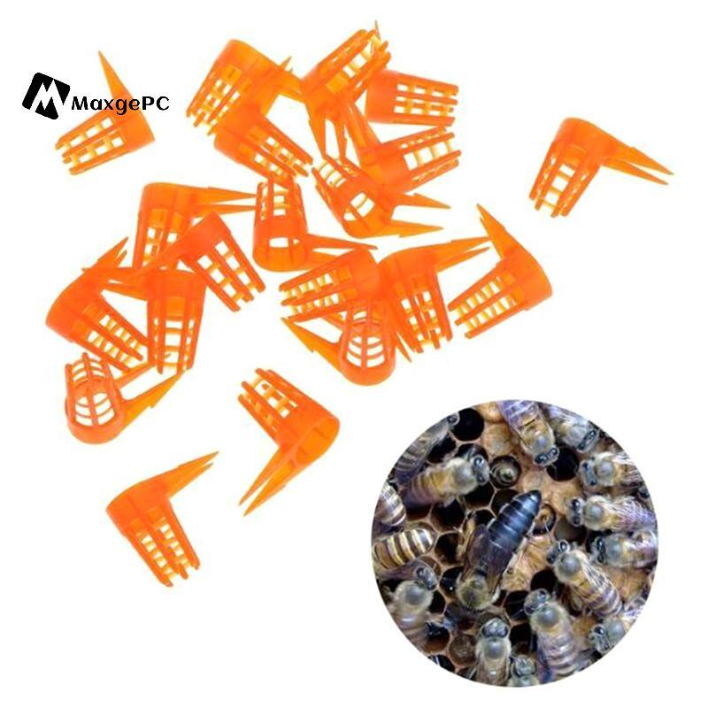 [Max-t] 20 Cái / bộ Bee Queen Cell Cover Dụng cụ nuôi ong Dụng cụ nuôi ong Lồng nhựa Bảo vệ Mới