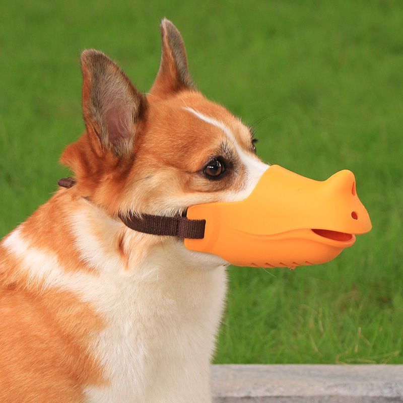 Mặt nạ chó muzzle thú cưng phổ biến Chống sủa Chó muzzle Chống cắn Chống rách Ăn vỏ cây Nút chặn chó