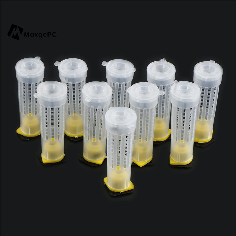 [Max-t] 10 Cái Bộ cốc nuôi ong nuôi ong Lồng ong Queen Con lăn Dụng cụ thiết bị nuôi ong mới