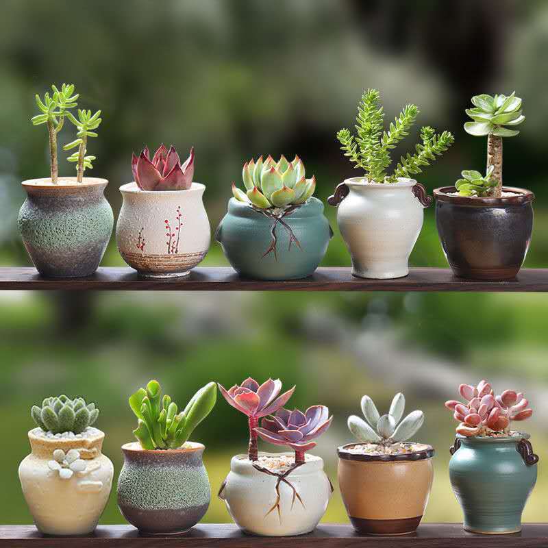 Chậu hoa mọng nước Gốm sứ làm vườn Mini Đồ đá sáng tạo nhỏ Retro Nhà sứ lọ nồi