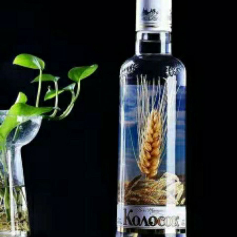 Bông tai lúa mì Nga nhập khẩu mới Vodka với đế Cocktail nguyên hạt lúa mì20251226