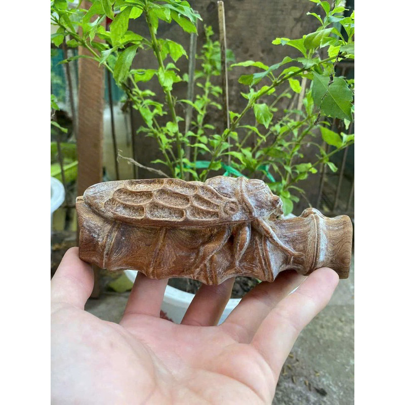 Tượng Ve Sầu đậu trên cành tre gỗ Ngọc am có mùi thơm kt 15cm trang trí decor bàn ,phòng khách,nhà c