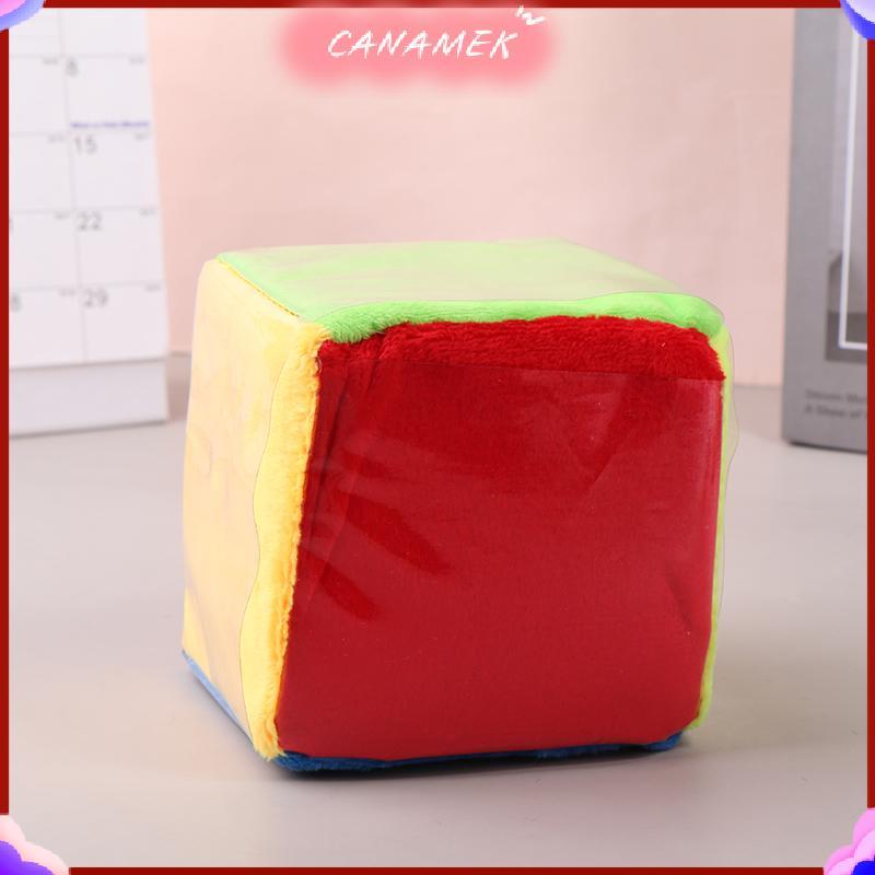 CANAMEK Games Dices Lớp Học Dices Với Túi Trong Suốt Giáo Viên Lớn Dices Học Khối CSF