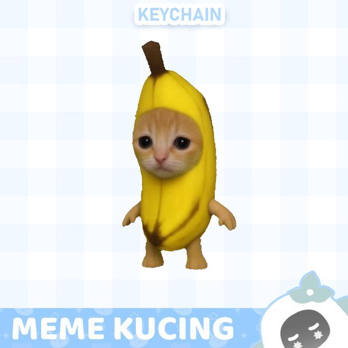 Ganci / Gantungan Kunci Akrilik MEME KUCING / SILLY CAT MEME / CAT MEME (50+ VARIASI) - 1