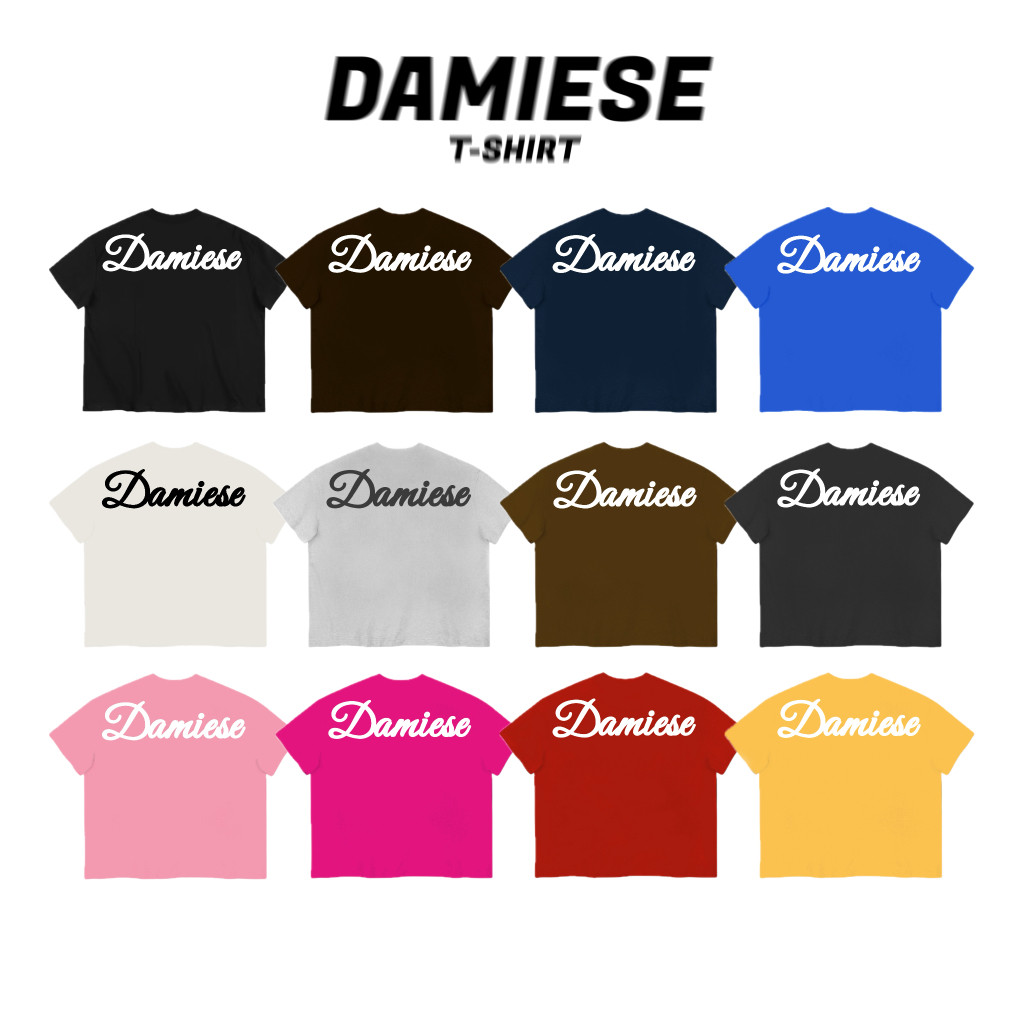Áo Thun Boxy Damiese Cotton 260gsm In Phồng