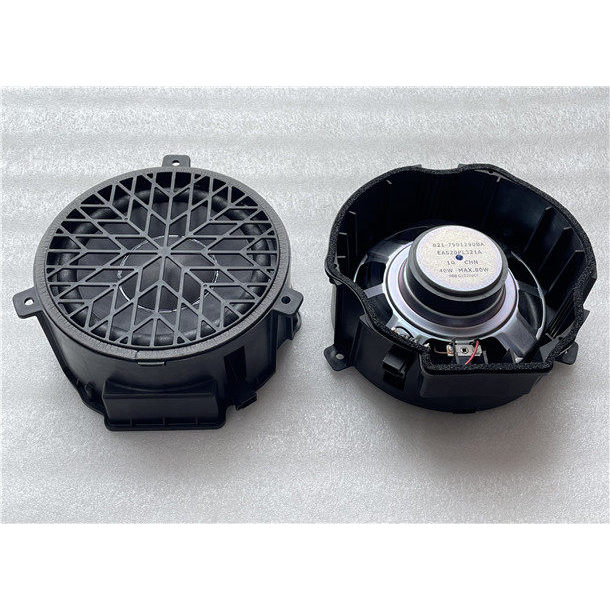 27cm Loa Siêu Trầm Ô Tô Sửa Đổi Nâng Cấp Ghế Ô Tô Dưới Ghế Sau Vách Ngăn 1 Euro 40-80W