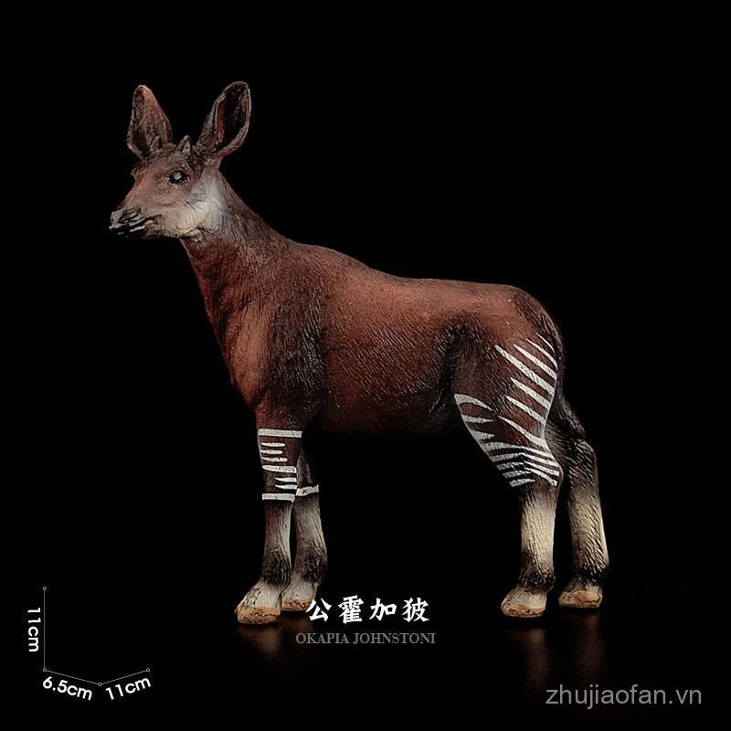 T Tongde Mô Phỏng Động Vật Đồ Chơi Mô Hình Wild Bull Hogatsu Okapi Hươu Okatsu Trẻ Em Nhận Thức Giáo