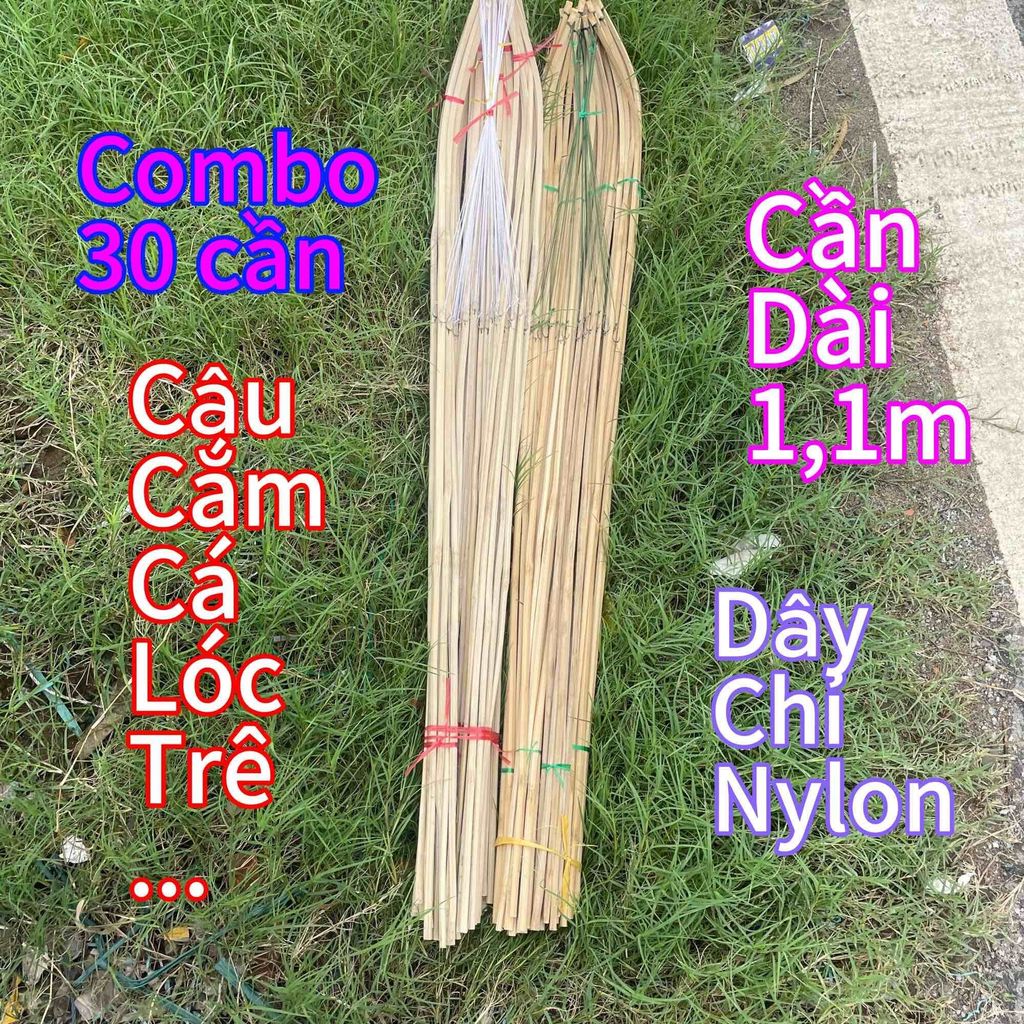 Combo 30 cần câu cắm cá, cần dài 1,1m, lưới chỉ nilon lưỡi câu số 8