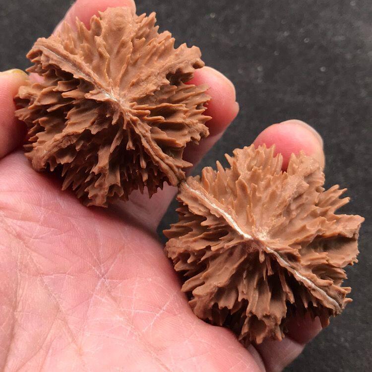 Qinling Wild Lantern Lion Lantern Lion Head Wen Play Pecan the Lantern Head Wenling Wild Lantern Hea