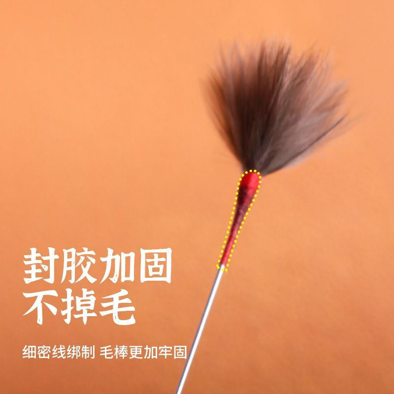 New Product#Professional Ear Cleaning Tool Peacock Feather Water Bird Feather Cinderella Soft Non-Ir